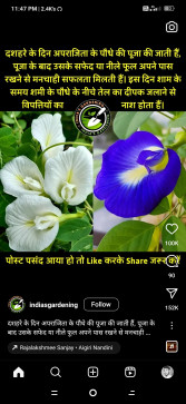 Satish Shimpane, 31, India