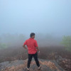 Ansh