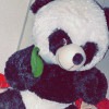 Arss