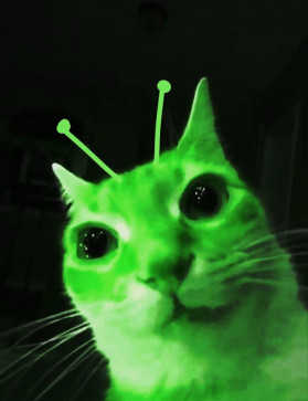 Im_an_alien, 97, Philippines