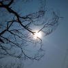 Roshan