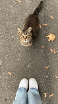 BIRDS OF A FEATHER, 97, India
