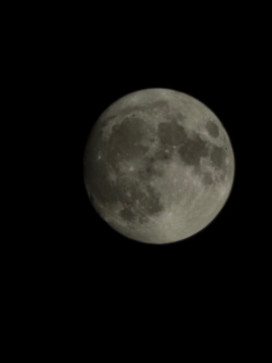 Abubakar Siddique, 18, United Arab Emirates