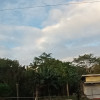 Tim
