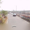 Girish harale