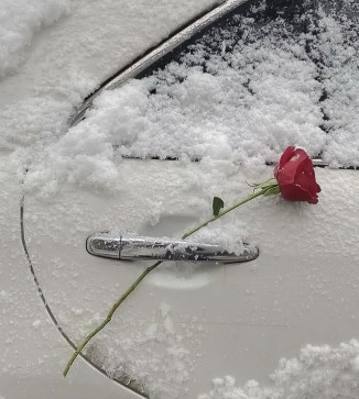 AugustInTheWinter, 23