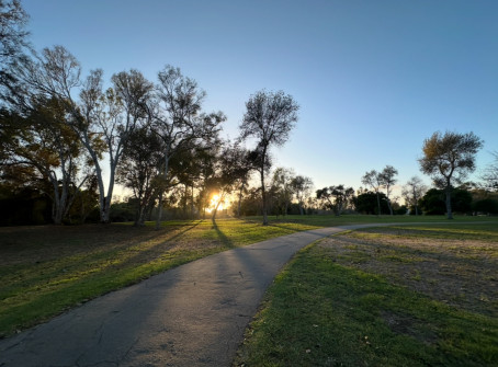 Alexander, 19, United States