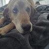 Ellie