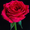 FAIZAN PATHAN