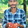 Sanni kushwaha