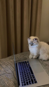 Ebrahim Sharaky, 18, Egypt