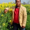 Jitu