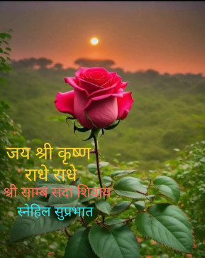 Abhishek Pandey, 37, India