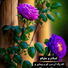 Asif khan