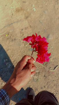 Deep Sandhu, 22, India