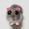 Baldseye