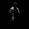 Anish