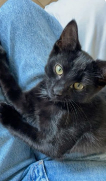 Kim, 99, United States