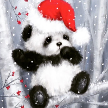 Rishi Sharman, 34, India