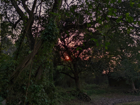 Roni Biswas, 24, India