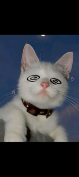 Lolly Billy, 18, United States