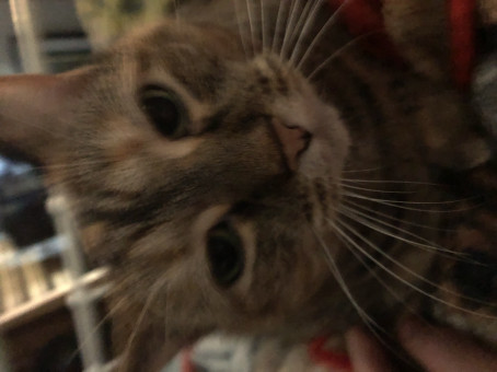 John, 18, United States