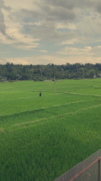 Loneshaheem, 20, India