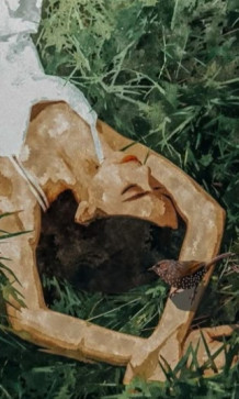 Sunshine, 40, United States