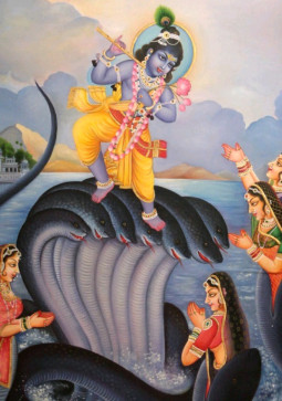 Amansingh Rana, 22, India