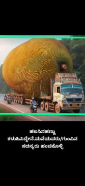 Attavar25, 18, India