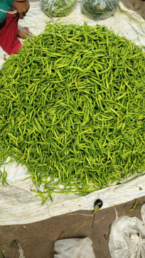 Gaurav Chauhan, 18, India