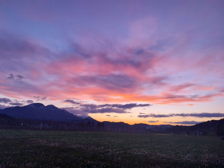 Saif Aldeen, 21, Libya
