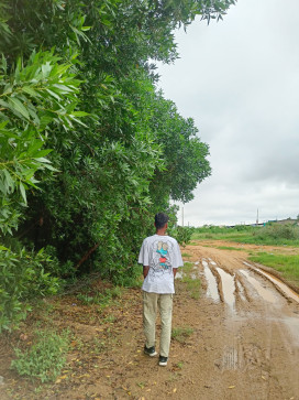 Diptakrushnasoren186, 24, India