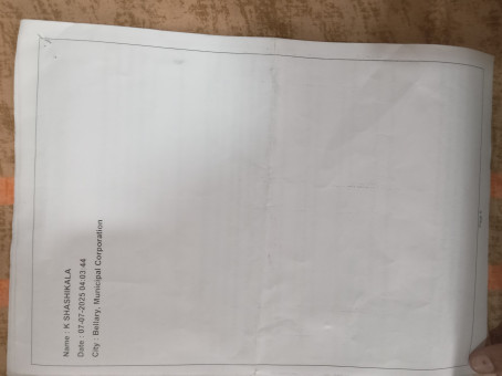 Shaikafreen0629gmai, 25, India