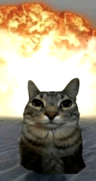 Saif Bolla, 19, Egypt