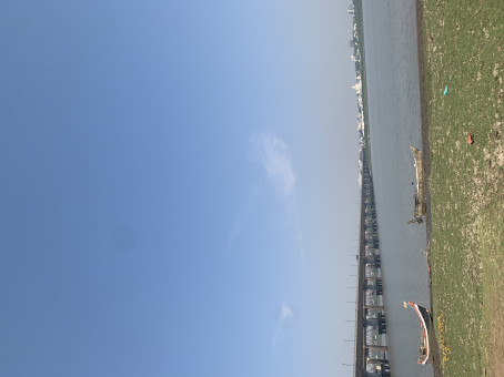 Harshil Patel, 20, India