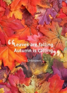 Charlotte, 40, United Kingdom