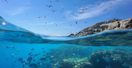 Sky, 18, United States