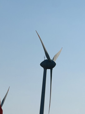 Choudhary, 20, India