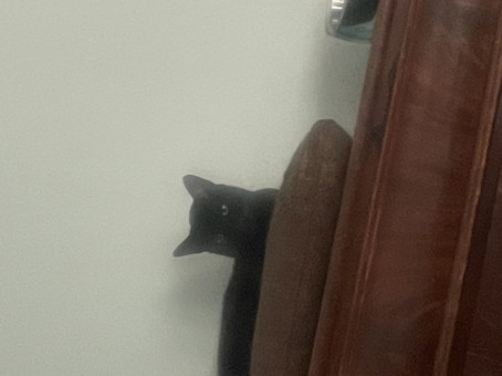 Jerry, 64, United States