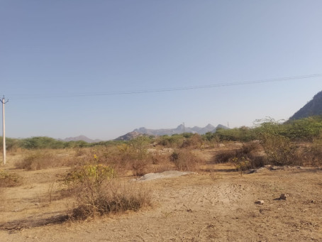 Karan Kumar, 20, India