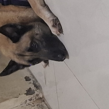 KAREN, 26, Philippines