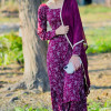 Jasmeet