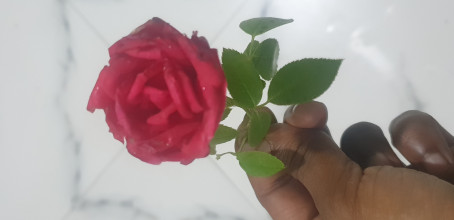 Abjal Hossain, 21, India