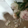 Petal