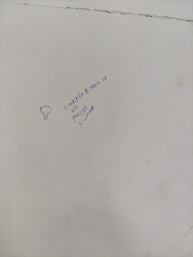 Gulshu 63, 18, India