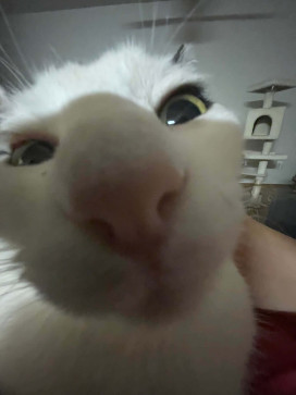 Rahul Meena, 19, India