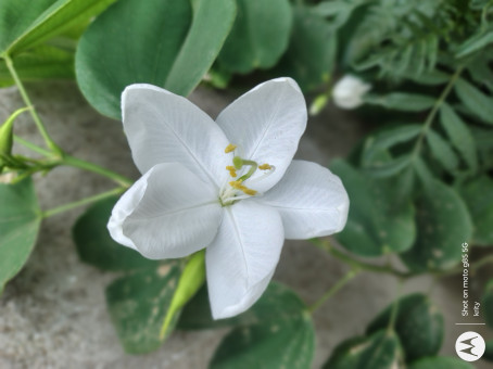 KESHAB DAS, 18, India