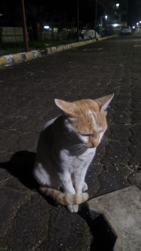 Iam_shelby, 21, India