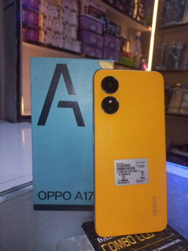 Tanveer Alam, 19, India